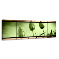 Glas schilderij Tulp | Groen, Bruin | 170x50cm 3Luik