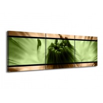 Glas schilderij Bloem | Groen, Bruin, Zwart | 150x50cm 3Luik