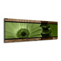 Glas schilderij Bloem | Groen, Bruin | 150x50cm 3Luik