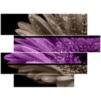 Glas schilderij Bloem | Paars, Grijs | 115x85cm 4Luik