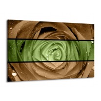 Canvas schilderij Roos | Groen, Bruin | 140x90cm 1Luik