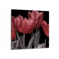 Glas schilderij Tulp | Rood, Grijs, Zwart | 70x70cm 1Luik