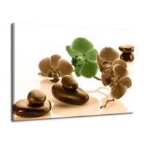 Glas schilderij Orchidee | Groen, Bruin, Wit | 70x50cm 1Luik