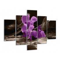 Glas schilderij Orchidee | Paars, Grijs | 100x70cm 5Luik