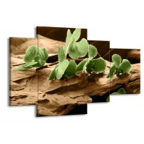 Glas schilderij Orchidee | Groen, Bruin | 120x75cm 4Luik