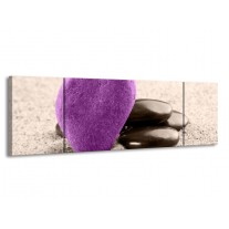 Glas schilderij Spa | Paars, Grijs | 170x50cm 3Luik