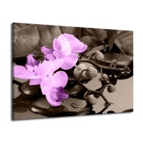 Glas schilderij Orchidee | Paars, Grijs | 70x50cm 1Luik