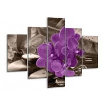 Glas schilderij Orchidee | Paars, Grijs | 100x70cm 5Luik