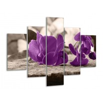 Glas schilderij Orchidee | Paars, Grijs | 100x70cm 5Luik