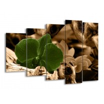 Glas schilderij Orchidee | Groen, Bruin | 150x100cm 5Luik