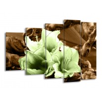 Glas schilderij Bloem | Groen, Bruin | 150x100cm 5Luik