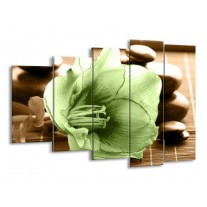 Glas schilderij Orchidee | Groen, Bruin | 150x100cm 5Luik