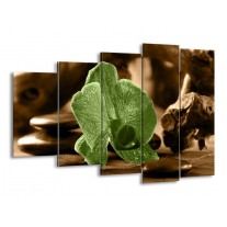 Glas schilderij Orchidee | Groen, Bruin | 150x100cm 5Luik