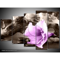 Klok schilderij Orchidee | Paars, Grijs | 150x100cm 5Luik