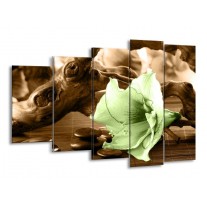 Glas schilderij Orchidee | Groen, Bruin | 150x100cm 5Luik