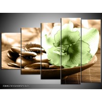 Klok schilderij Orchidee | Groen, Bruin | 150x100cm 5Luik