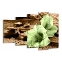 Glas schilderij Orchidee | Groen, Bruin | 150x100cm 5Luik