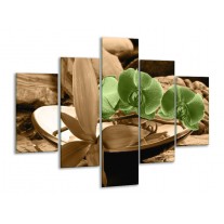 Glas schilderij Orchidee | Groen, Bruin | 100x70cm 5Luik