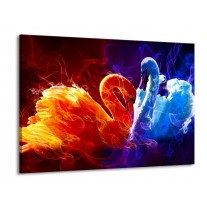 Glas schilderij Zwanen | Rood, Blauw, Rood | 100x70cm 1Luik