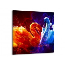 Glas schilderij Zwanen | Rood, Blauw, Rood | 70x70cm 1Luik