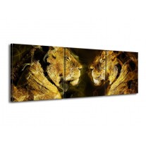 Glas schilderij Leeuw | Geel, Wit, Groen | 150x50cm 3Luik