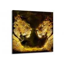 Glas schilderij Leeuw | Geel, Wit, Groen | 50x50cm 1Luik