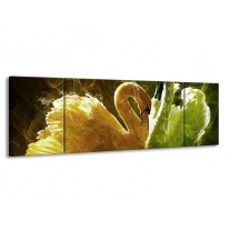 Glas schilderij Zwaan | Geel, Wit, Groen | 170x50cm 3Luik