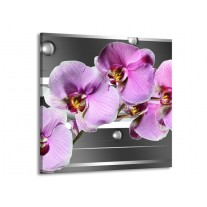 Glas schilderij Orchidee | Grijs, Paars, Wit | 70x70cm 1Luik