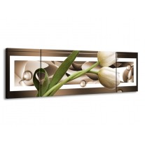 Glas schilderij Tulp | Bruin, Groen, Wit | 170x50cm 3Luik