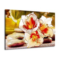 Glas schilderij Bloem | Wit, Rood, Geel | 70x50cm 1Luik