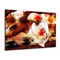 Glas schilderij Bloem | Wit, Rood, Geel | 70x50cm 1Luik