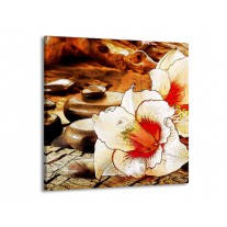 Glas schilderij Bloem | Wit, Rood, Geel | 50x50cm 1Luik