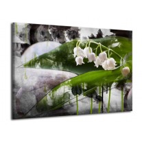 Glas schilderij Bloem | Wit, Groen, Grijs | 70x50cm 1Luik