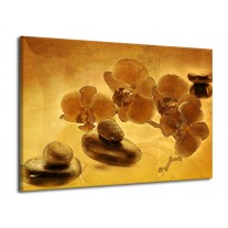 Glas schilderij Orchidee | Bruin | 70x50cm 1Luik