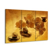Glas schilderij Orchidee | Bruin | 90x60cm 3Luik