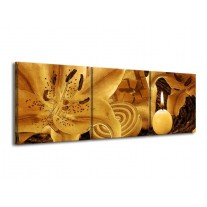 Glas schilderij Bloem | Bruin | 150x50cm 3Luik