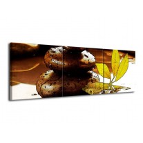 Glas schilderij Spa | Bruin, Groen | 120x40cm 3Luik