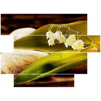 Glas schilderij Bloem | Groen, Wit, Bruin | 115x85cm 4Luik