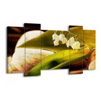 Canvas schilderij Bloem | Groen, Wit, Bruin | 120x65 5Luik
