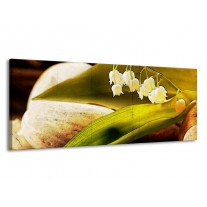 Canvas schilderij Bloem | Groen, Wit, Bruin | 145x58cm 1Luik