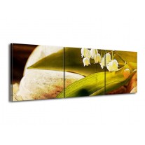 Canvas schilderij Bloem | Groen, Wit, Bruin | 150x50cm 3Luik
