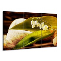 Canvas schilderij Bloem | Groen, Wit, Bruin | 165x100cm 3Luik