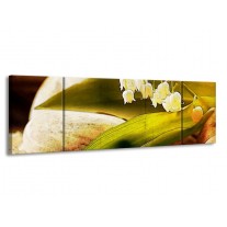 Glas schilderij Bloem | Groen, Wit, Bruin | 170x50cm 3Luik