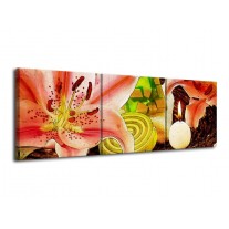 Canvas schilderij Bloem | Roze, Groen, Wit | 120x40cm 3Luik