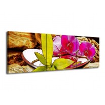 Glas schilderij Orchidee | Paars, Groen, Bruin | 120x40cm 3Luik