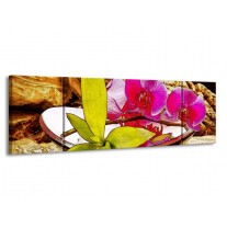 Glas schilderij Orchidee | Paars, Groen, Bruin | 170x50cm 3Luik