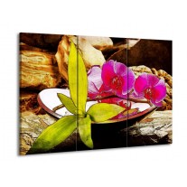 Glas schilderij Orchidee | Paars, Groen, Bruin | 90x60cm 3Luik