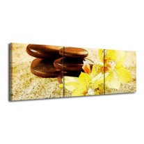Glas schilderij Spa | Geel, Bruin, Wit | 120x40cm 3Luik