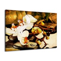 Glas schilderij Orchidee | Bruin, Wit, Groen | 70x50cm 1Luik