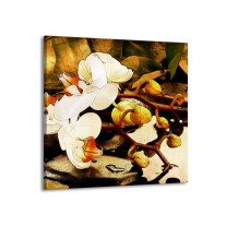 Canvas schilderij Orchidee | Bruin, Wit, Groen | 70x70cm 1Luik